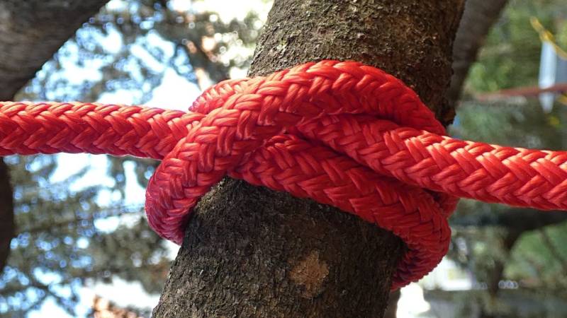 The 6 most important knots, video + PDF (Survival/Bushcraft)