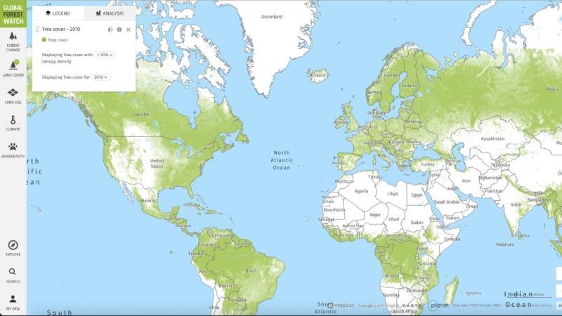 Using the Global Forest Watch Map, you can see the forest density worldwide