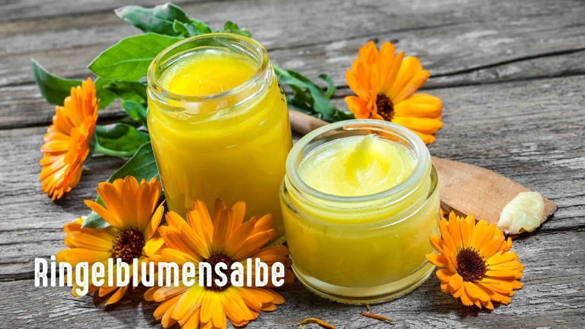 Ringelblumensalbe ist eine topische Creme, die zur Behandlung von Hauterkrankungen wie Ekzemen und Psoriasis verwendet wird. Diese Salbe wird aus der Ringelblumenpflanze hergestellt. Sie kann verwendet werden, um Juckreiz, Rötungen und Reizungen aufgrund von Hauterkrankungen zu lindern.