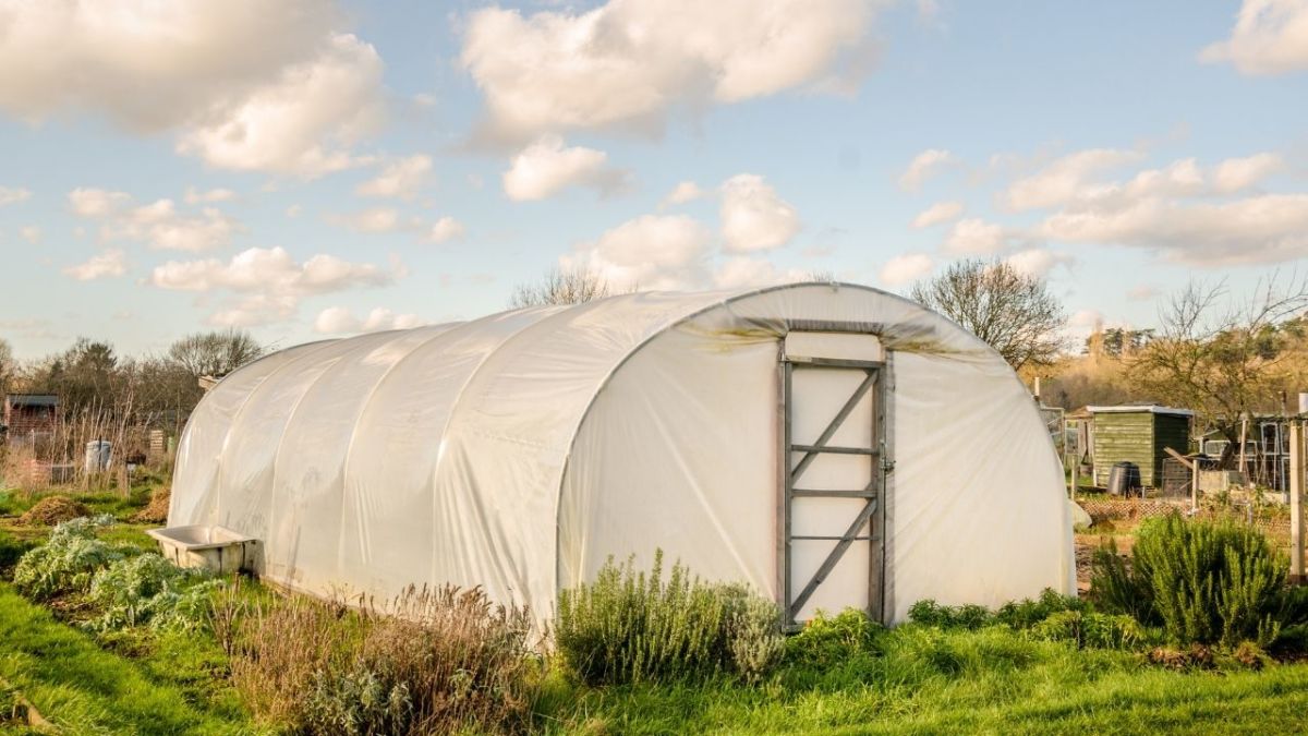 A self-sufficient garden is a type of garden that is created and maintained with the sole purpose of providing food to the owners. It usually includes fruit trees, vegetable beds, and berry bushes to feed the family.