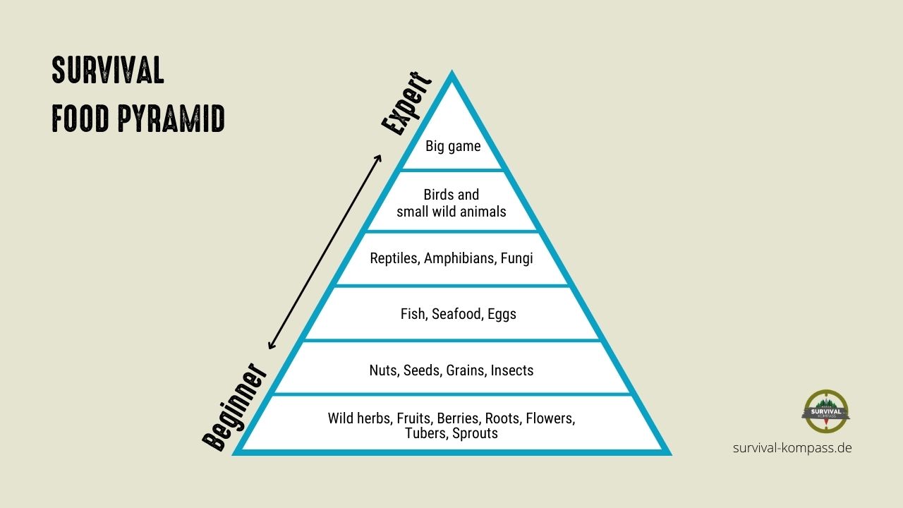 Survival Nahrungs Pyramide en