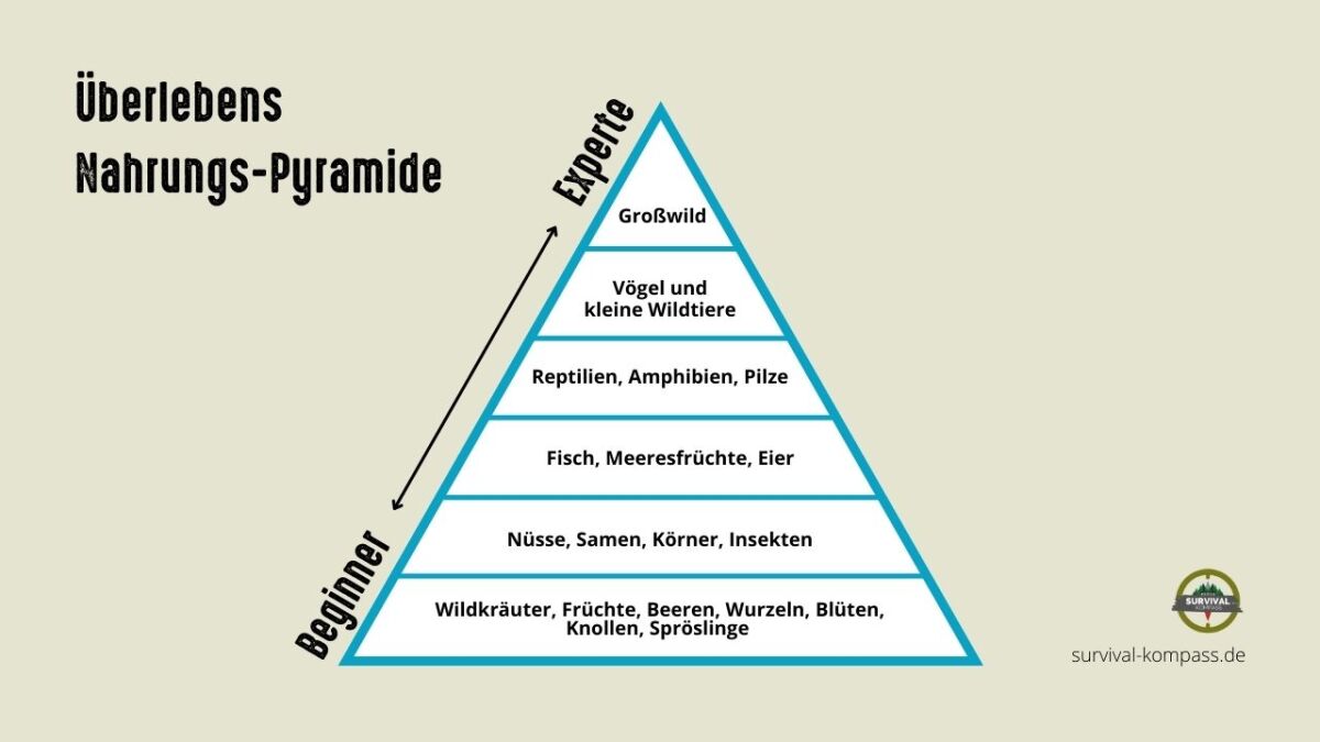 Survival Nahrungs Pyramide