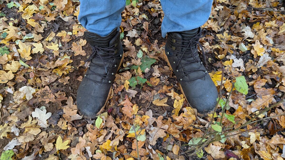 Vivobarefoot Tracker Forest ESC: Test nach 12 Monaten Vivobarefoot Tracker Forest ESC blaue hosen stiefel herbst laub