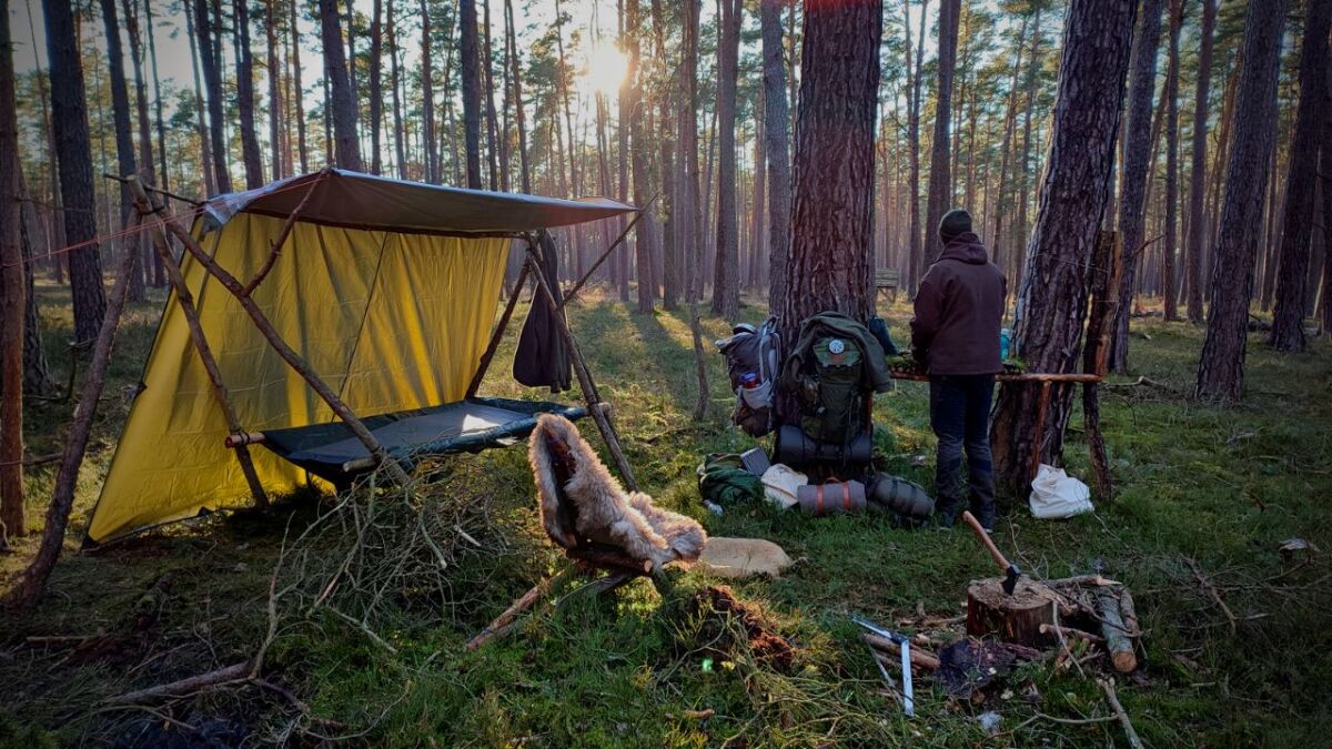 Alone and without help, can you survive in a German forest permanently?