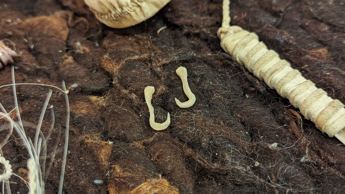 Wildverwertung: Was du aus einem Reh alles machst angelhaken aus knochen 1