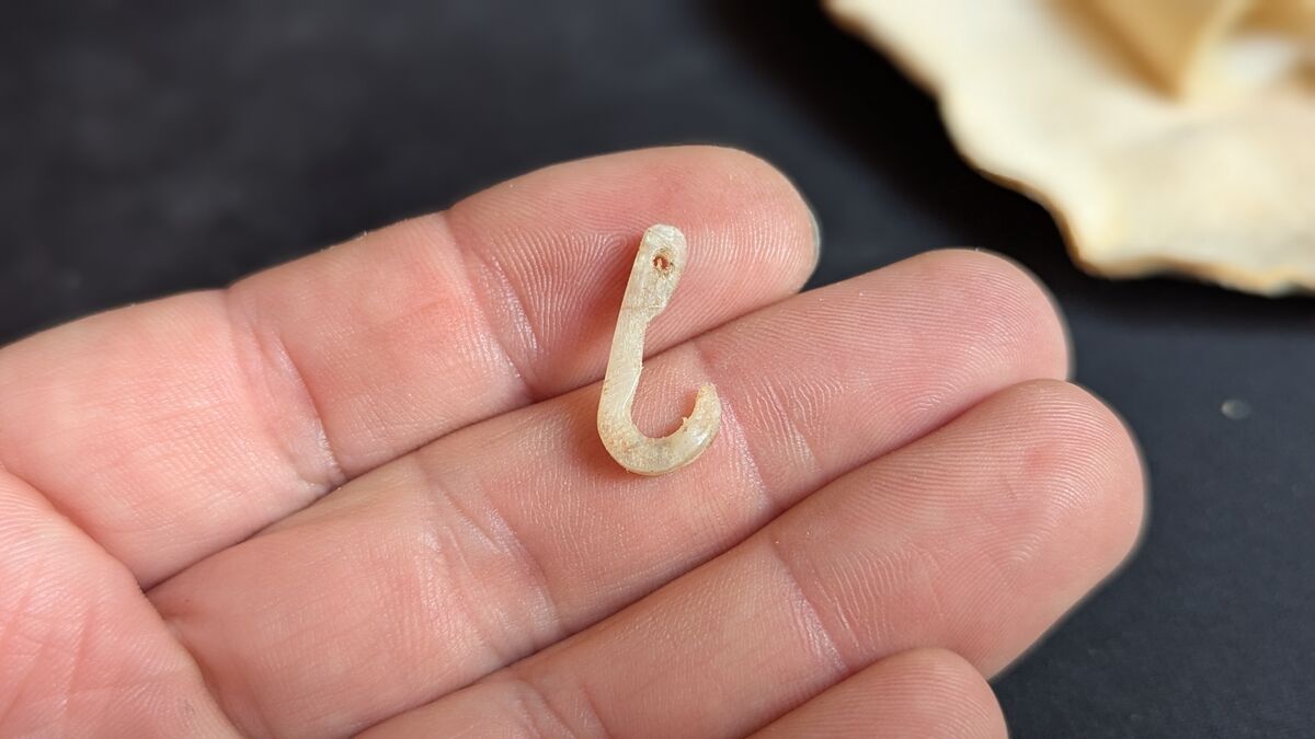 Wildverwertung: Was du aus einem Reh alles machst angelhaken aus knochen