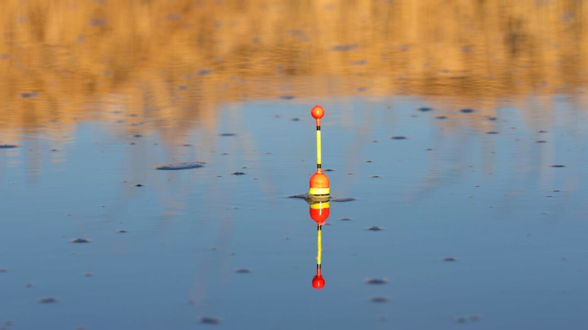 angelpose im wasser 1