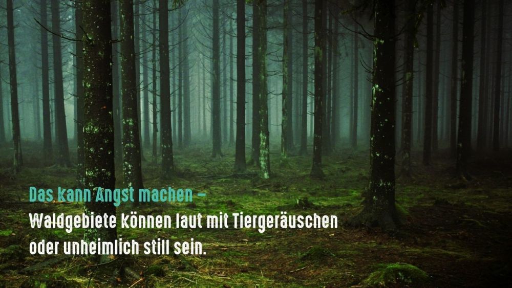 angst im wald kann laut und leise sein