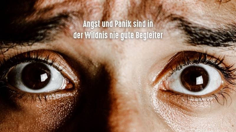 angst und panik sind in der wildnis nie gute begleiter