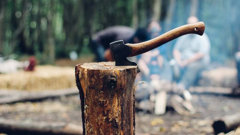 You need something that can easily cut through wood, so an axe or hatchet would be good for this task.