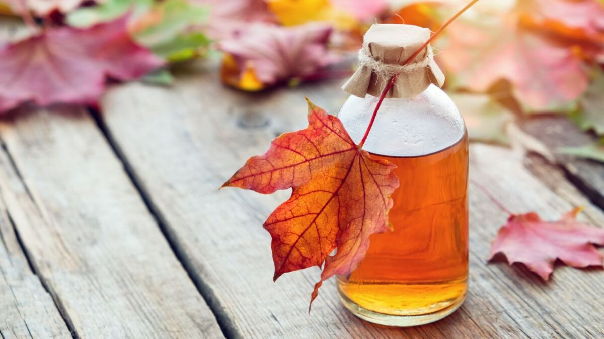 The liquid gold of the trees – 16 trees that you can use for syrup