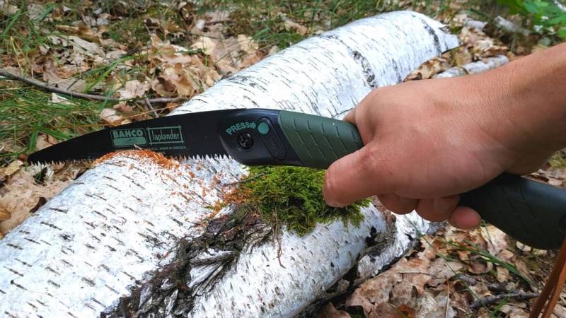 Eine Klappsäge ist eine leichte und günstige Säge, die problemlos in einem Rucksack transportiert werden kann.