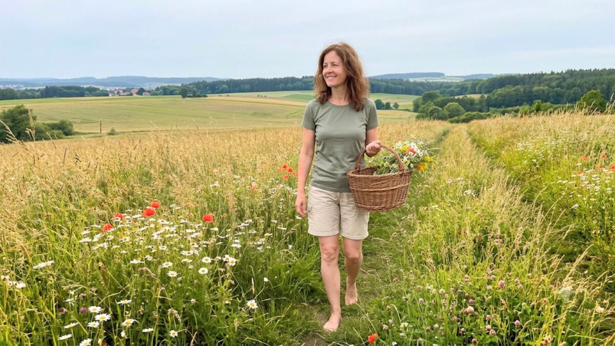 7 Wildpflanzen & Kräuter im Juli auf ihrem Höhepunkt – und in drei Wochen ist es vorbei
