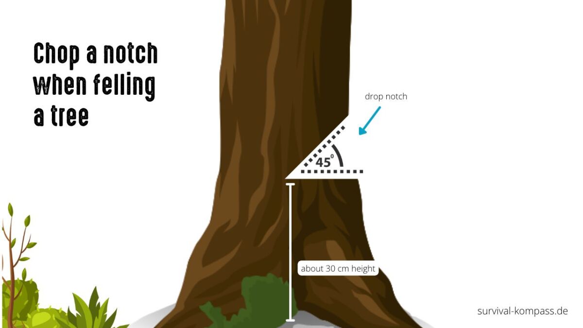 Hack the felling notch at a 45-degree angle – the tree will fall in this direction too.
