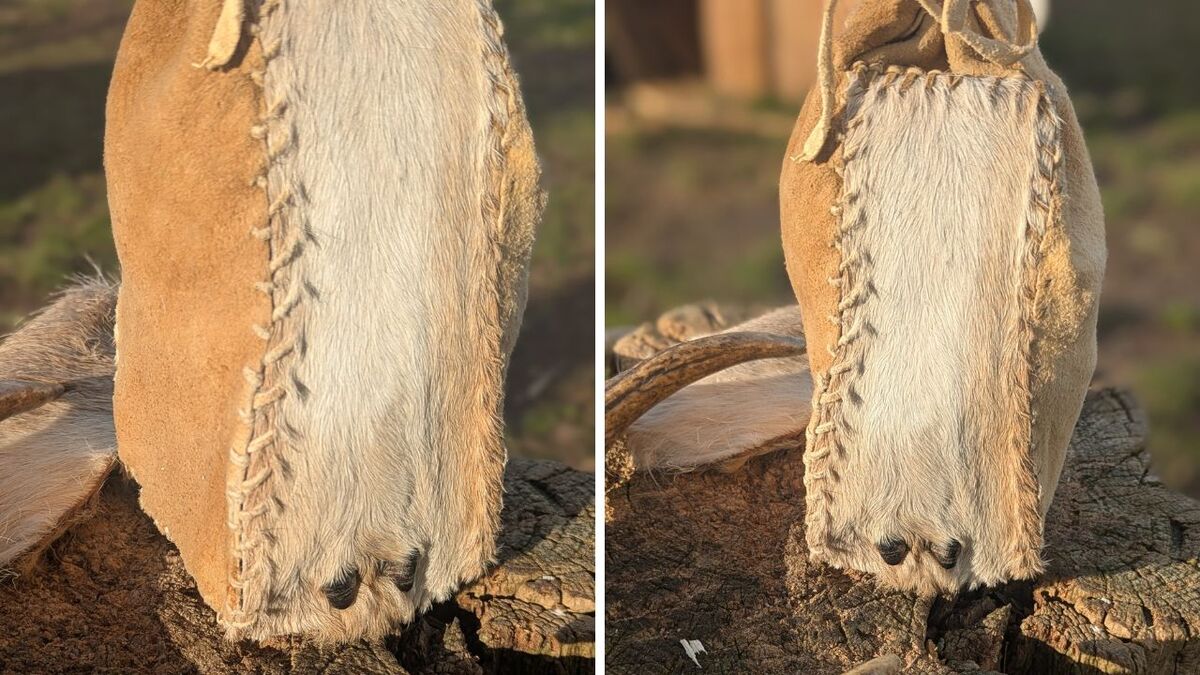Wildverwertung: Was du aus einem Reh alles machst behaelter aus unterlaeufe vom reh