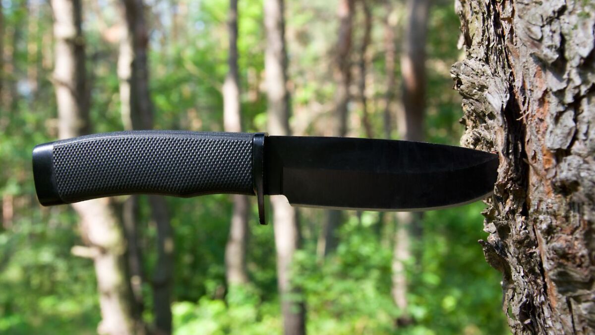 The 6 best survival knives - Top list and buying guide