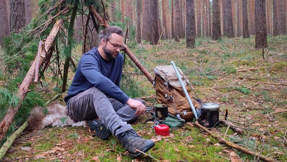 billy pot zebra immer mit im wald