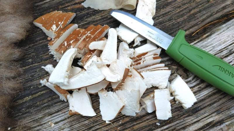 Zum Trocknen des Birkenporlings schneidest du den Pilz in Streifen