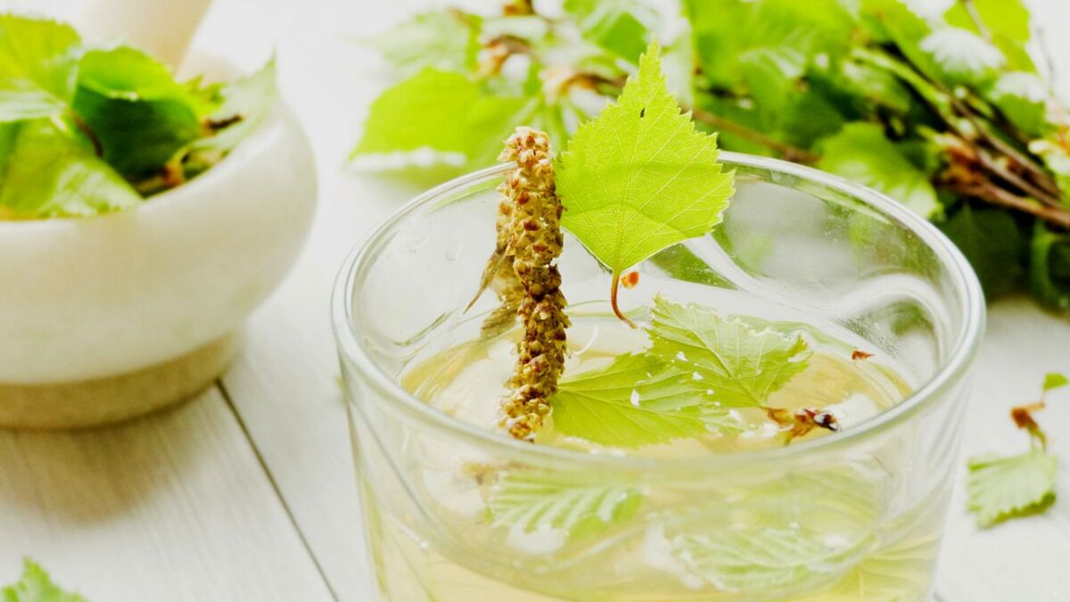 Birch tea is a herbal tea made from the leaves of the birch. It has been used for centuries as a natural remedy to treat a variety of ailments, from digestive problems to skin problems.