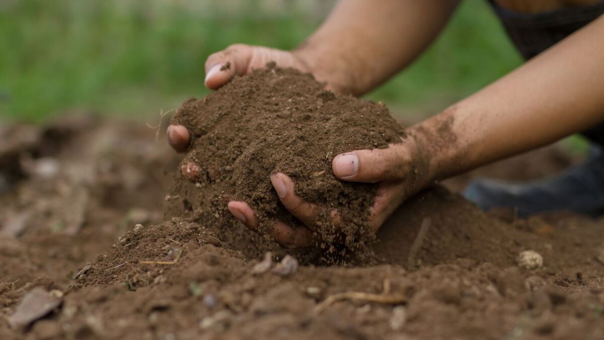 Determining the soil type as a self-supplier (cheap)