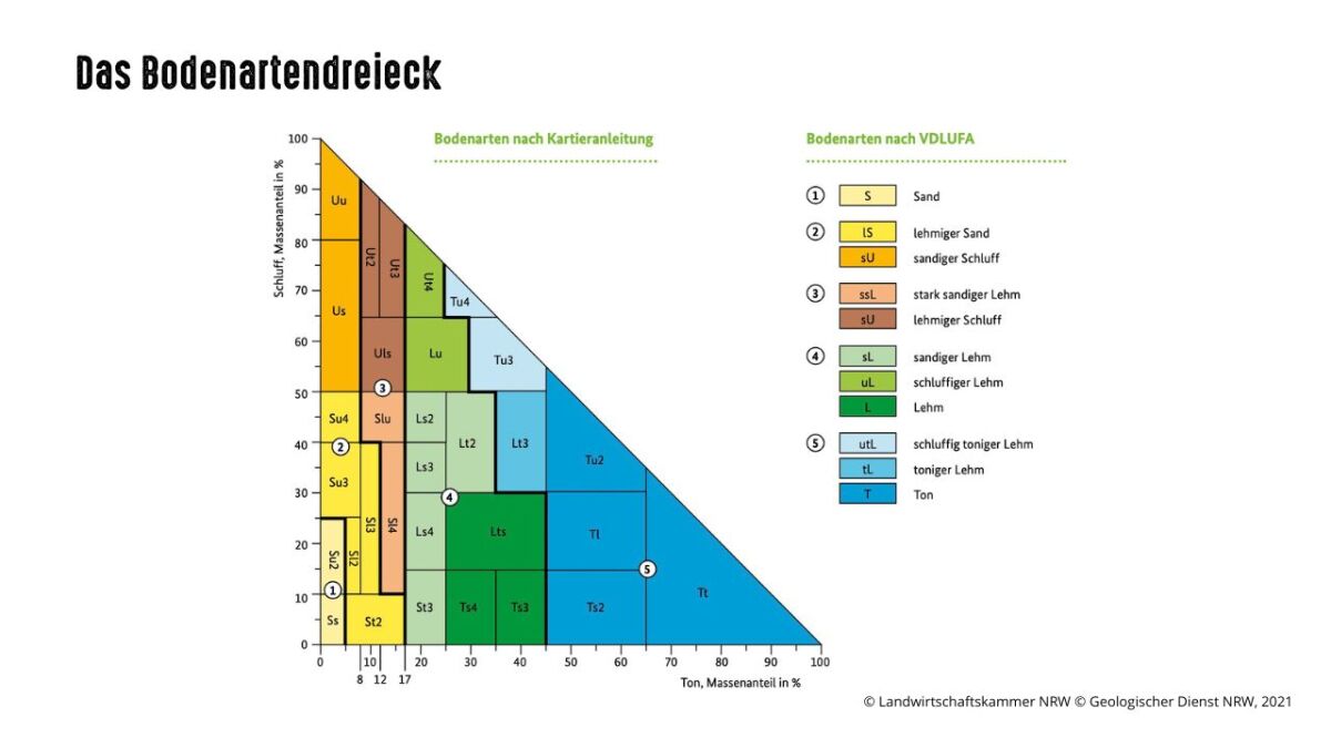 bodendreieck