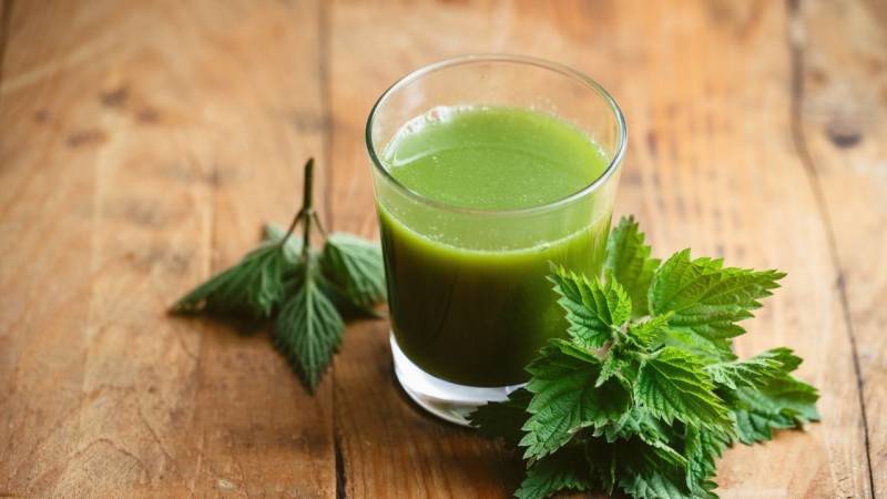 Smoothies made from nettles give you power for the wilderness