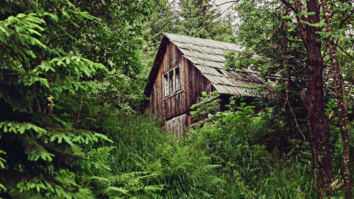 A bug out location in the middle of the woods - a great hiding place, right?