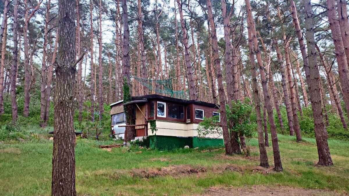 A well-hidden garden shed is a great hiding place.