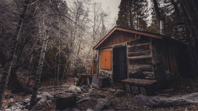 Die Flucht vor einer Ausgangssperre in den Wald kann auch eine Alternative sein