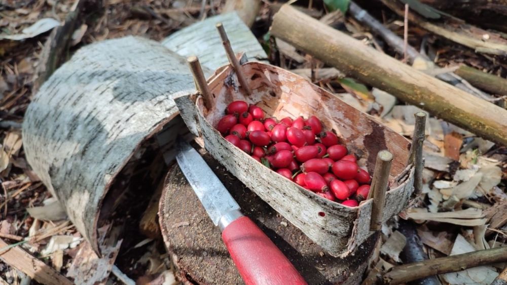 bushcraft behaelter aus birkenrinde