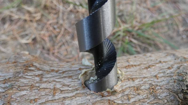 A snake drill bores into the wood like a snake