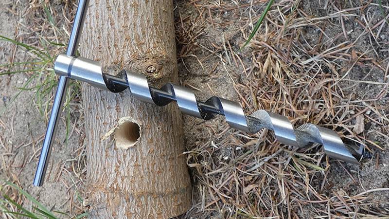 What is a Bushcraft drill / snake drill