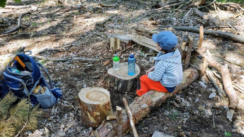 Bushcraft with kids: a great time, but also a challenge