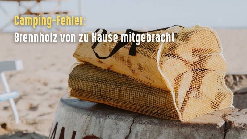 camping fehler brennholz von zu hause mitgebracht