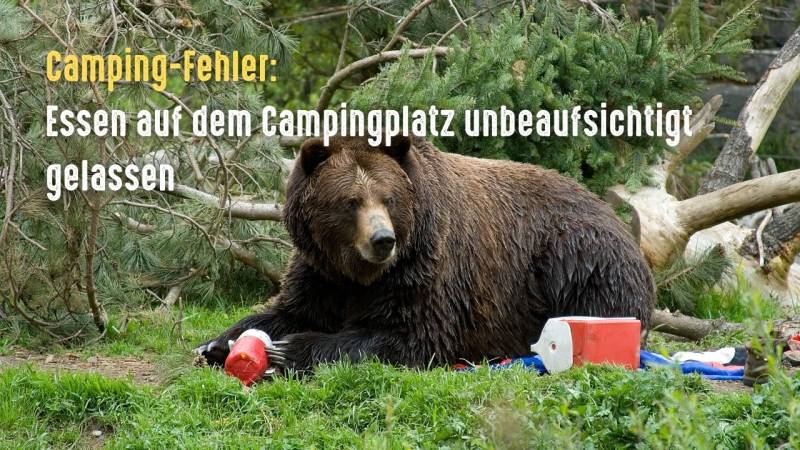 camping fehler essen unbeaufsichtigt gelassen