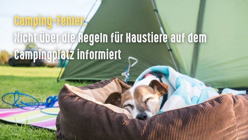 ➡️ Die 25 größten Camping-Fehler, die Anfänger oft machen