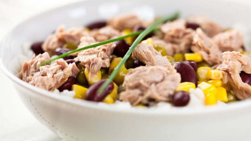 Tuna and bean salad with high protein and low carbohydrates