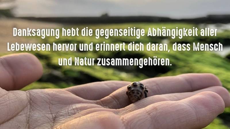 danksagung mensch natur