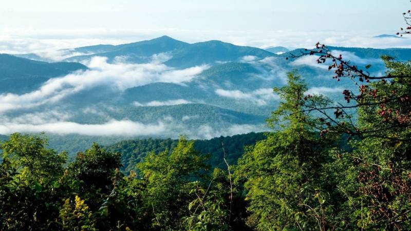 The Appalachians are a forested mountain range in eastern North America.