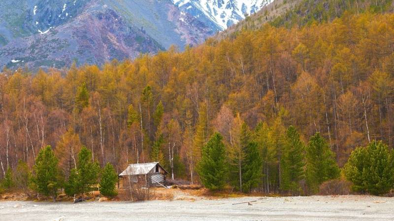 Die besten 5 Orte, um in der Wildnis zu überleben (oder einen Rückzugsort zu bauen)