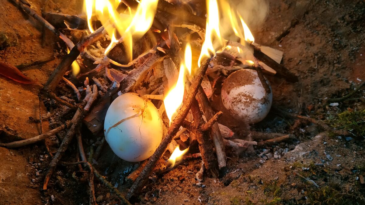 eier im lagerfeuer