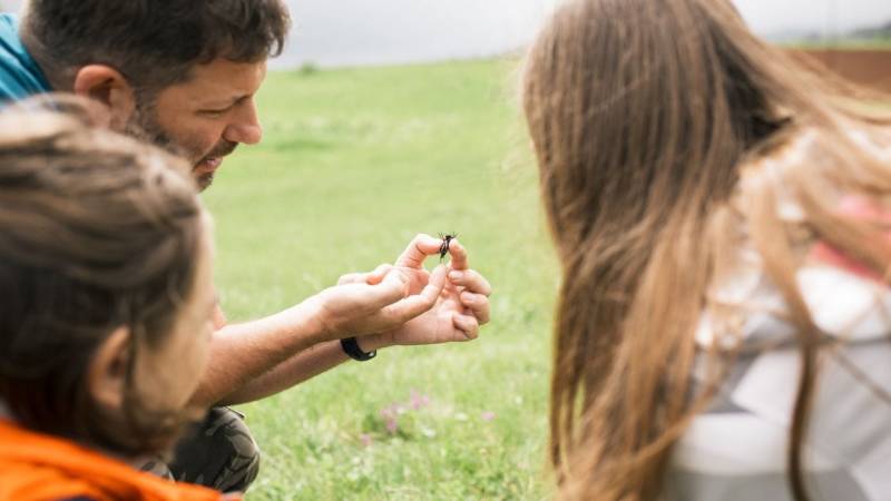 Coyote Teaching basiert darauf, Neugierde zu wecken und Begeisterung zu entfachen