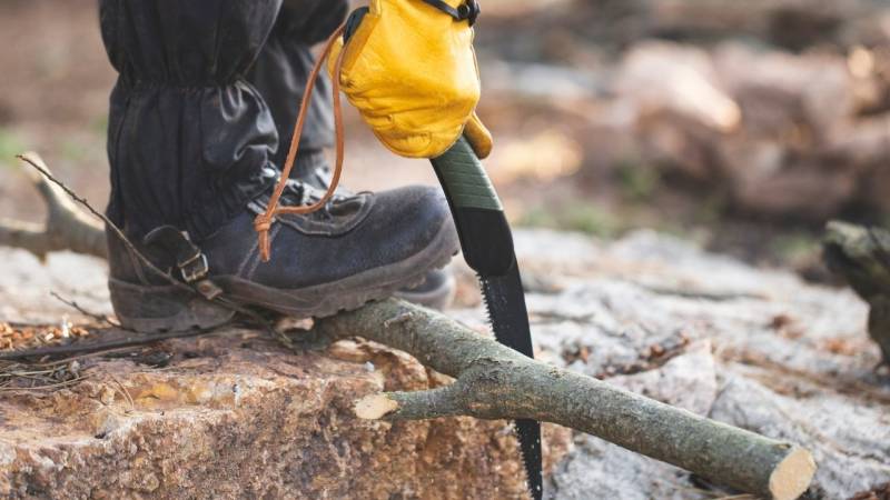 Beim Sägen und Feuerholz machen bleibst du warm