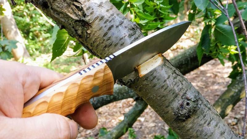 In a survival situation, a knife is an indispensable tool. A knife can be used for many different purposes, such as chopping, cutting, carving, and chiseling.
