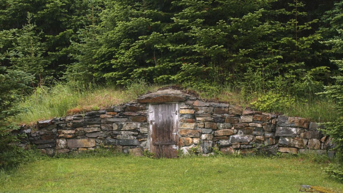 Fantastic way to store potatoes in an earth cellar