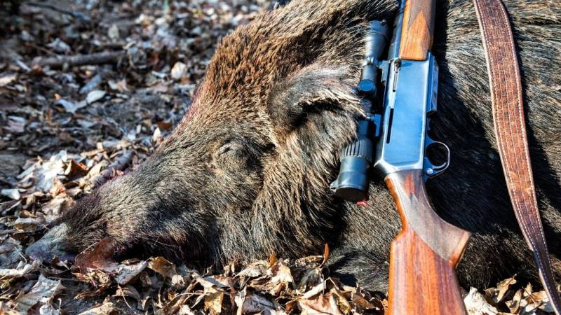 Only those who possess hunting rights may appropriate dead animals