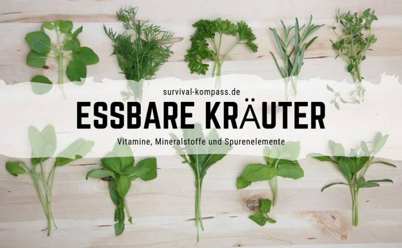 Essbare Kräuter