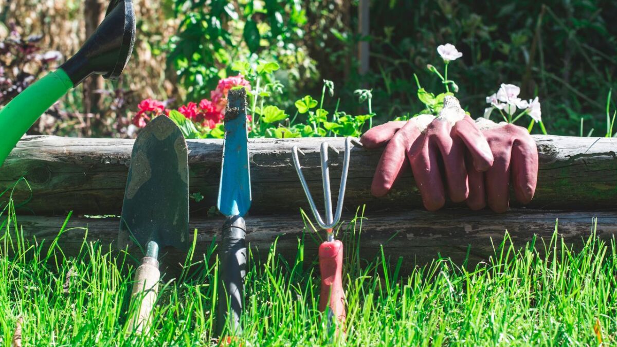 With these essential gardening tools and tricks, you will get through the self-sufficient gardening year well