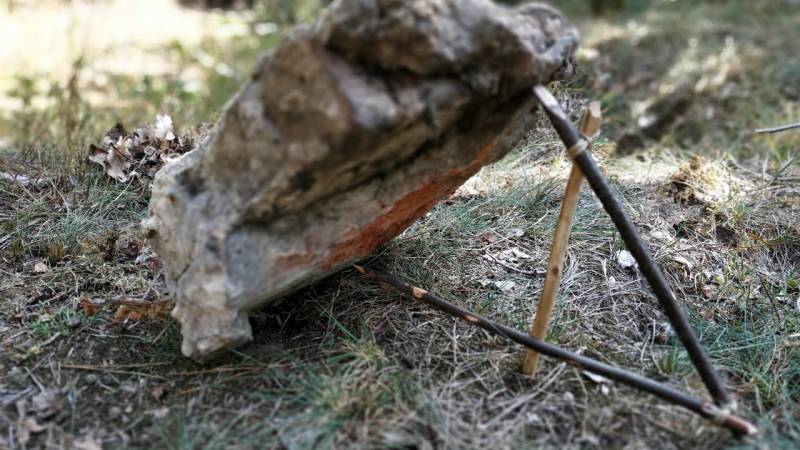 falle bauen bushcraft