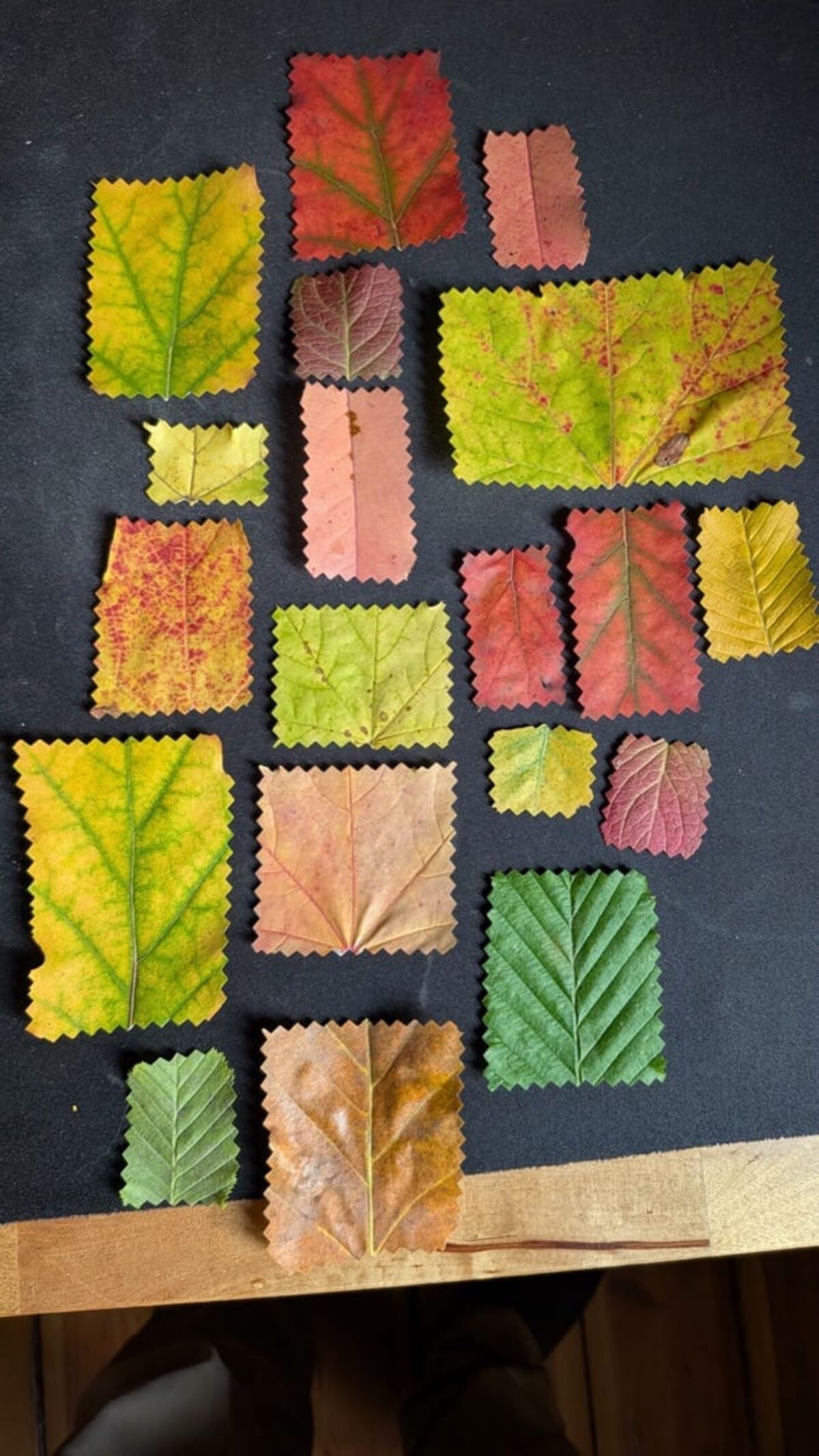 Die F.I.A.B. Mail (Freitag, 16.10.2026) farbe des herbstes optimiert